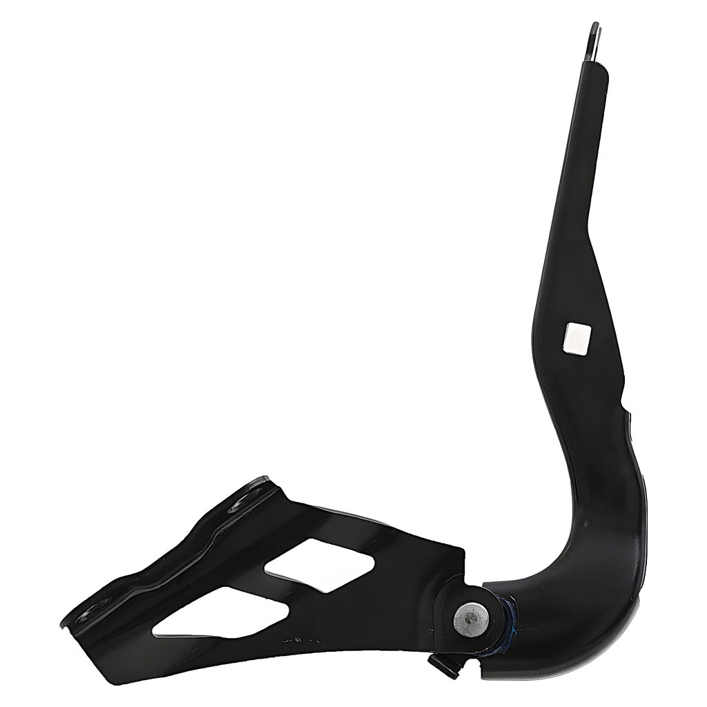 Bisagra de Cofre RADEC 006-1915-00