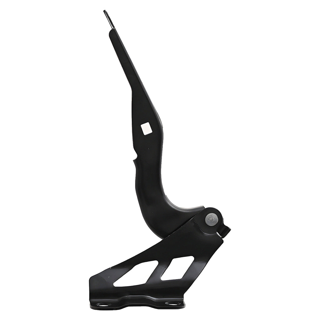 Bisagra de Cofre RADEC 006-1915-01