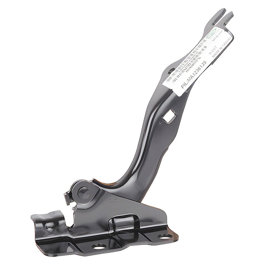 Bisagra Cofre Derecha TYI 006-1920-00
