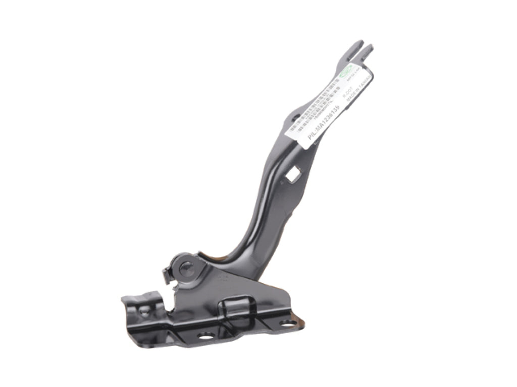 Bisagra Cofre Derecha TYI 006-1920-00