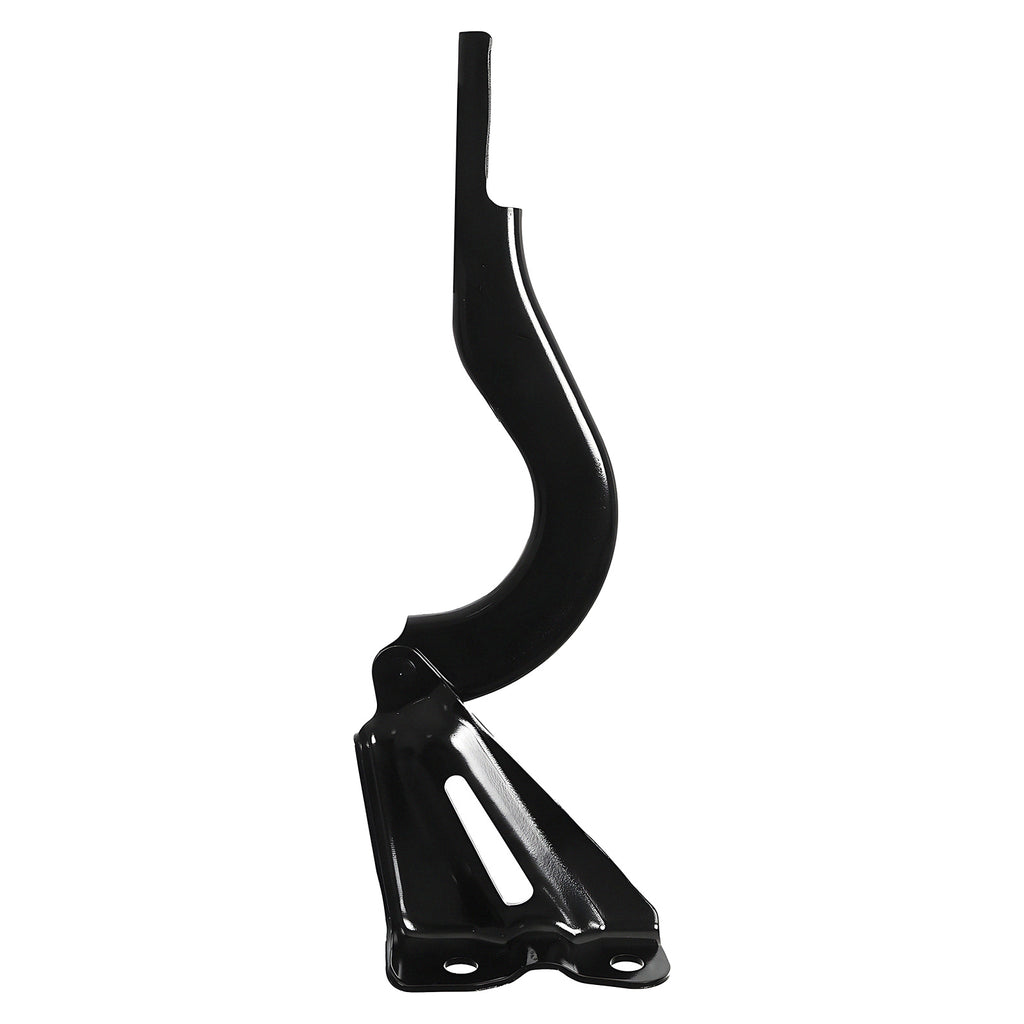 Bisagra de Cofre RADEC 006-1927-00