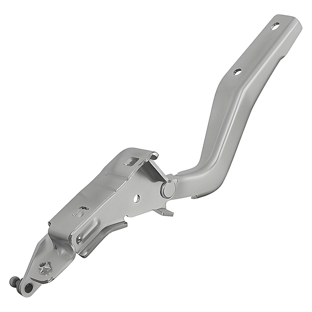 Bisagra de Cofre RADEC 006-2307-04