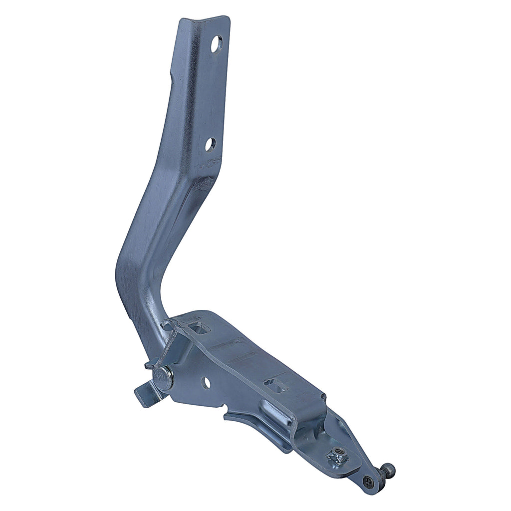 Bisagra de Cofre RADEC 006-2307-05
