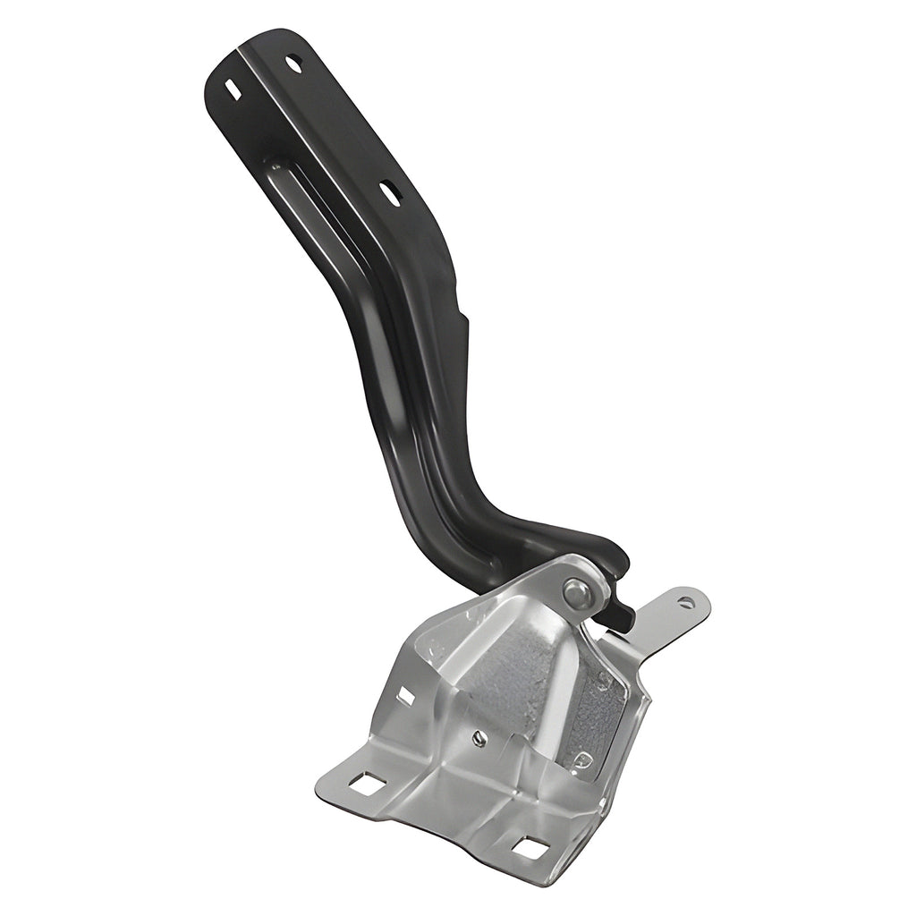 Bisagra de Cofre RADEC 006-2312-01