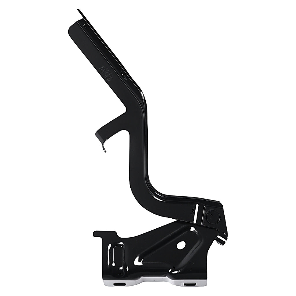Bisagra de Cofre RADEC 006-2313-00