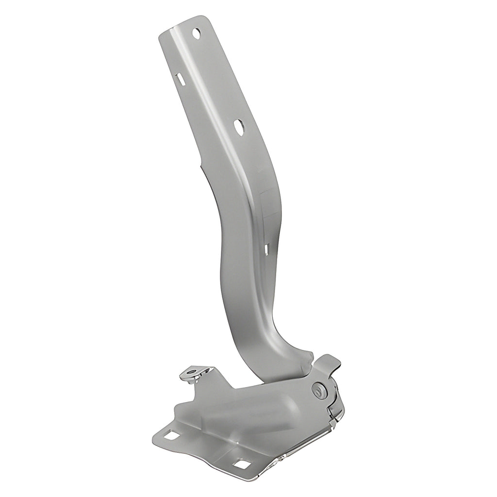 Bisagra de Cofre RADEC 006-2316-09