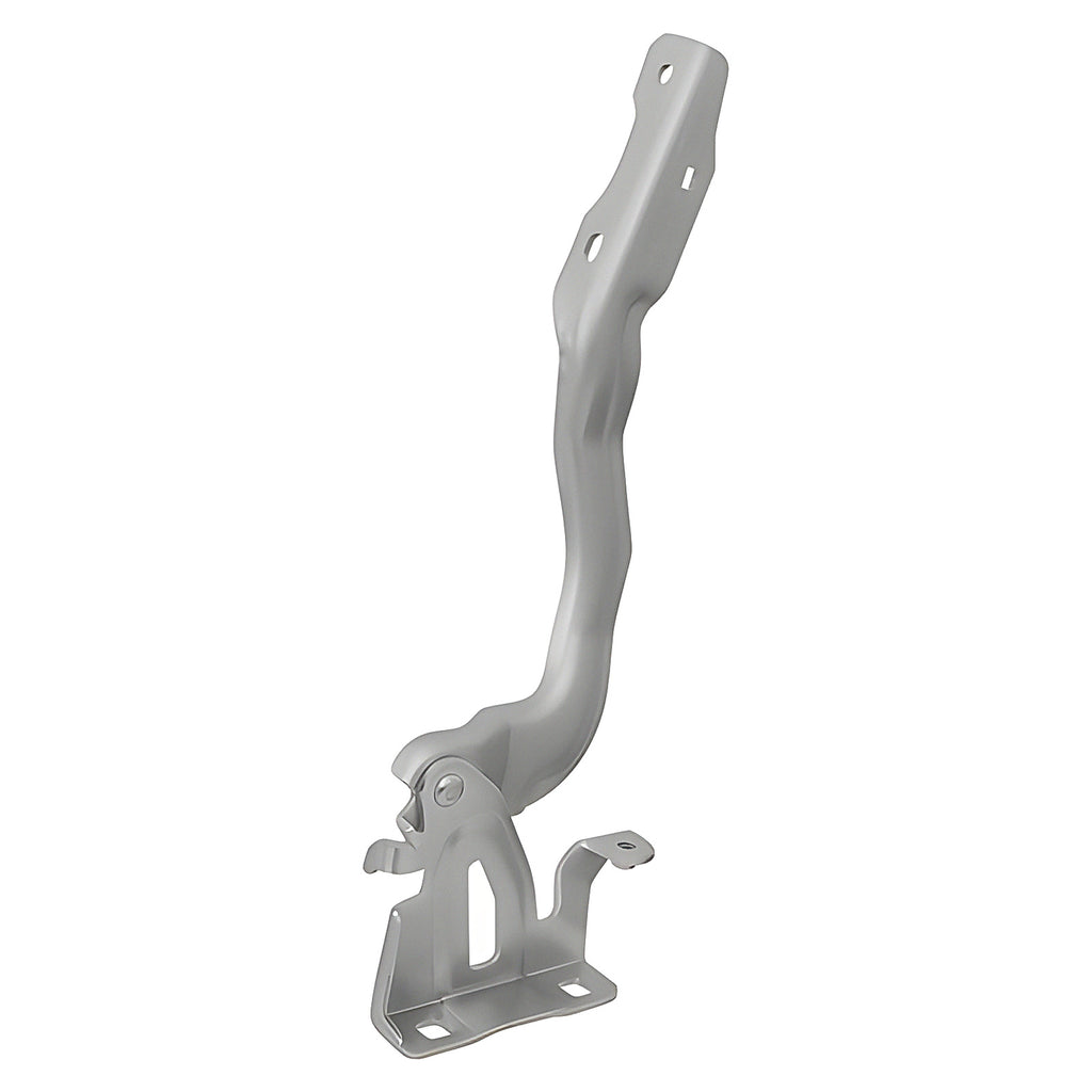 Bisagra de Cofre RADEC 006-2330-02