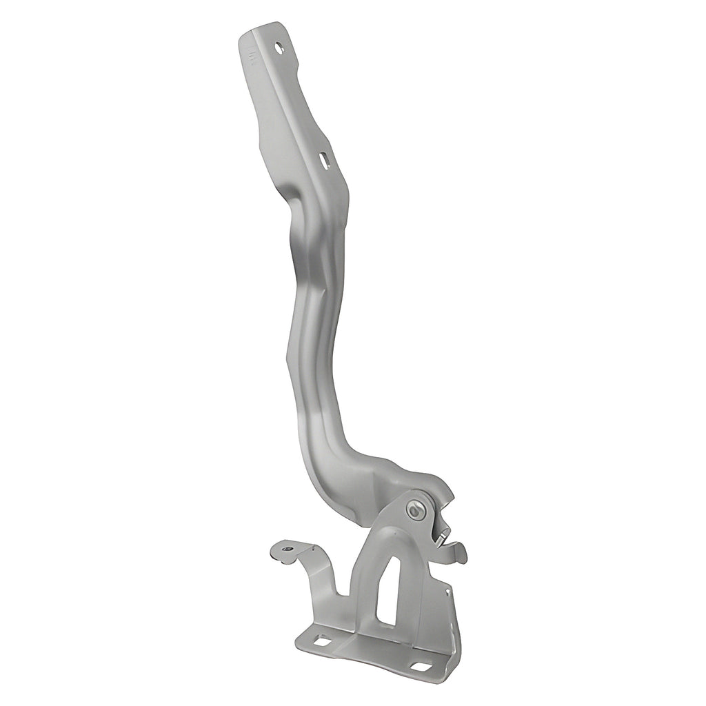 Bisagra de Cofre RADEC 006-2330-03