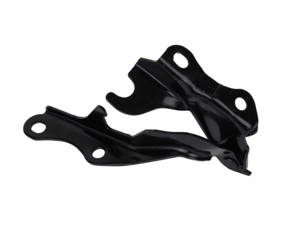 Bisagra Cofre Izquierda MANJ 006-3002-09