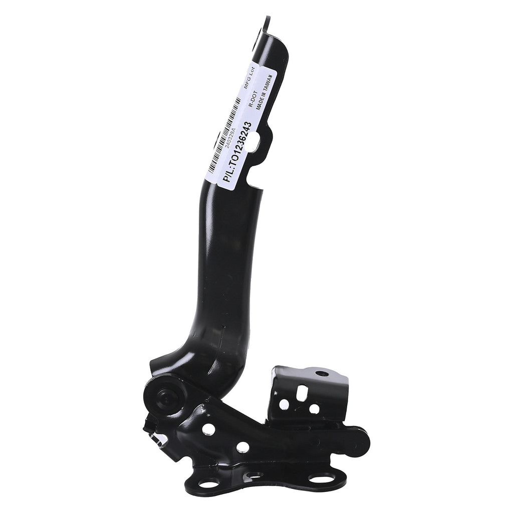 Bisagra de Cofre RADEC 006-3002-14