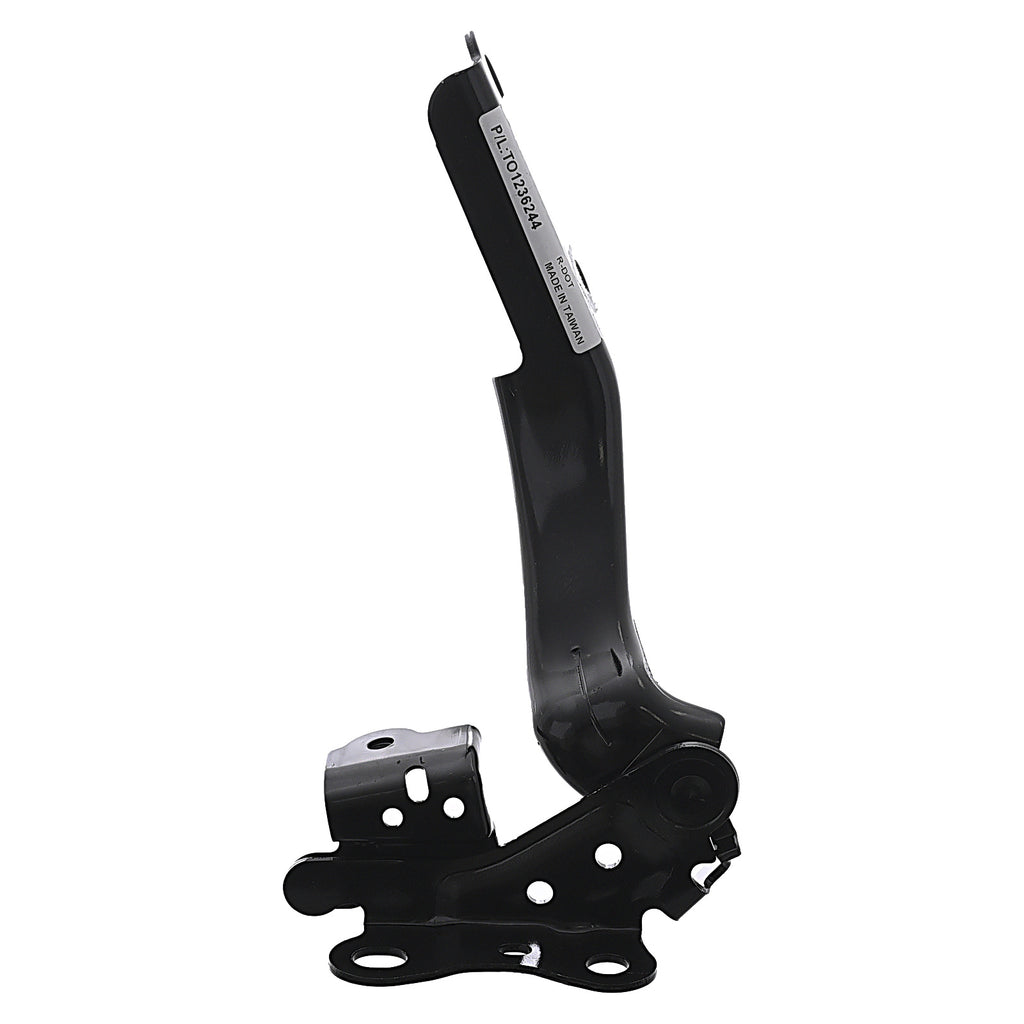 Bisagra de Cofre RADEC 006-3002-15