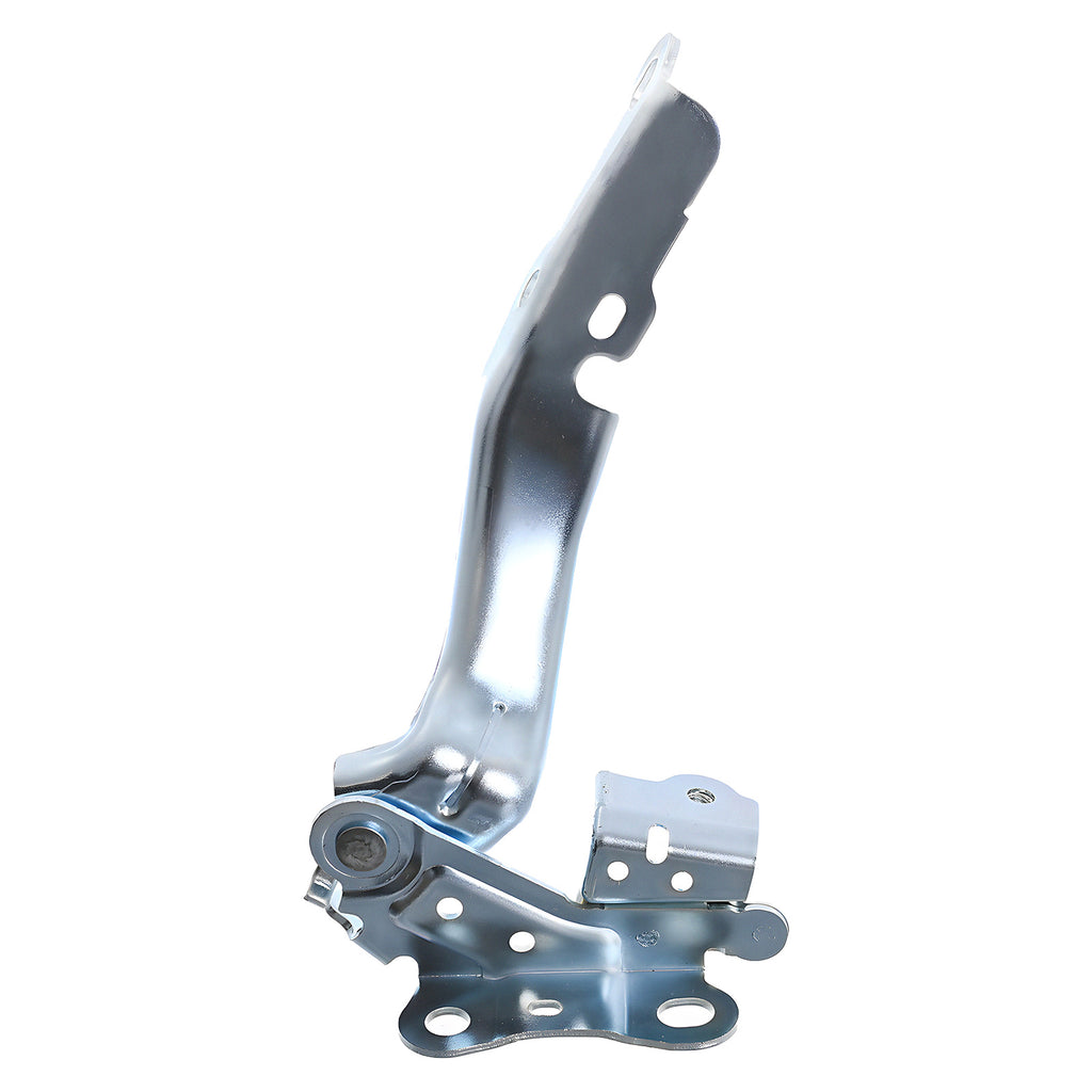 Bisagra de Cofre RADEC 006-3002-16