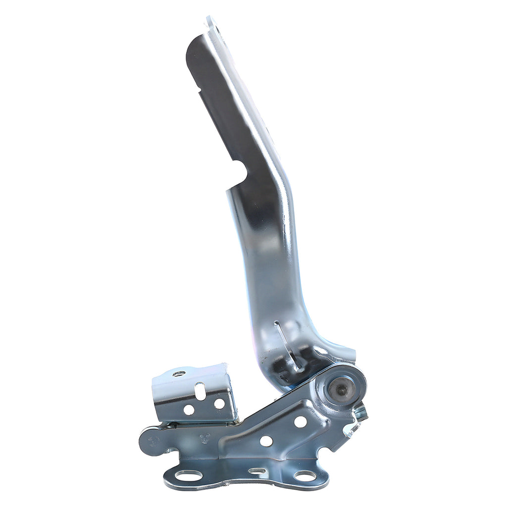 Bisagra de Cofre RADEC 006-3002-17
