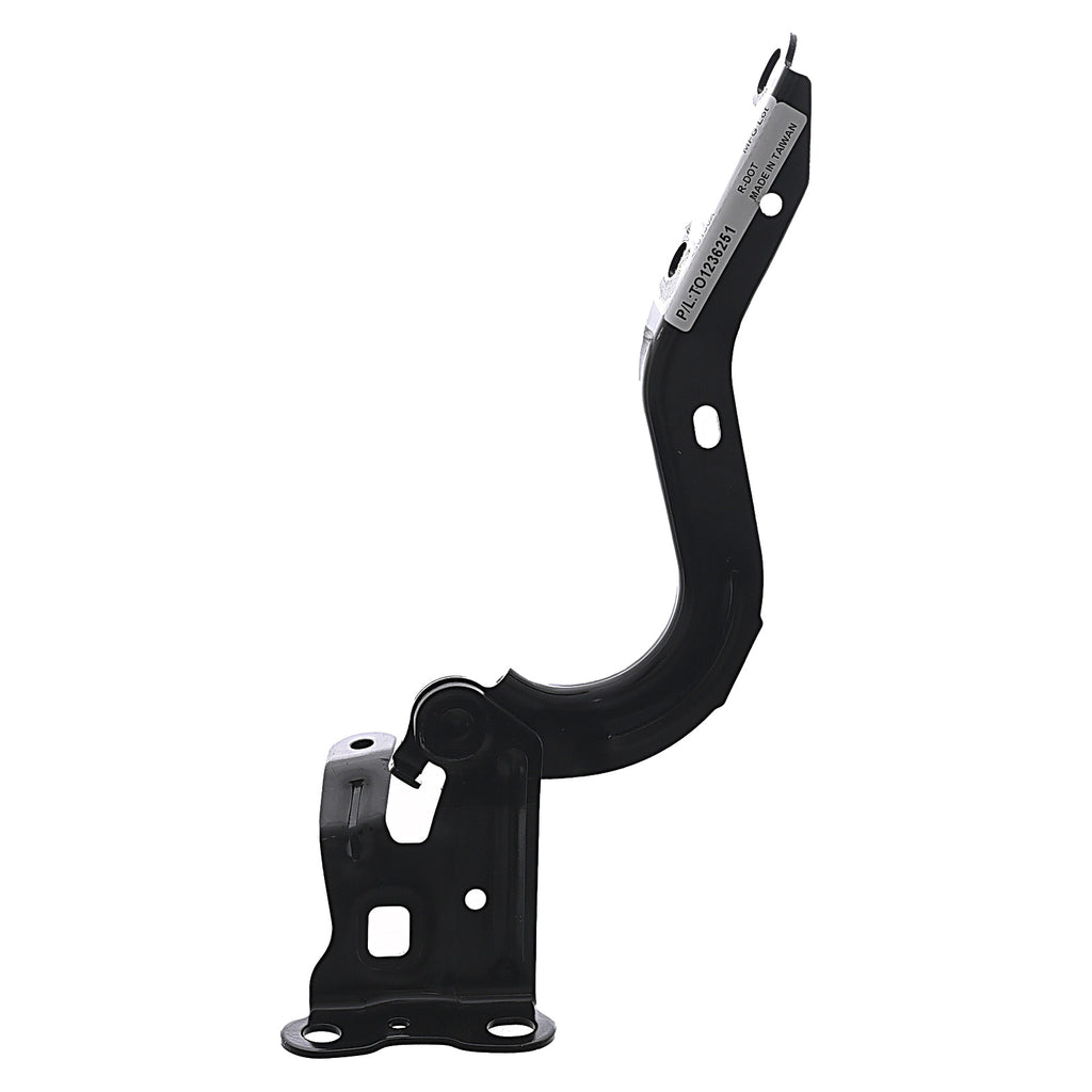 Bisagra de Cofre RADEC 006-3004-10