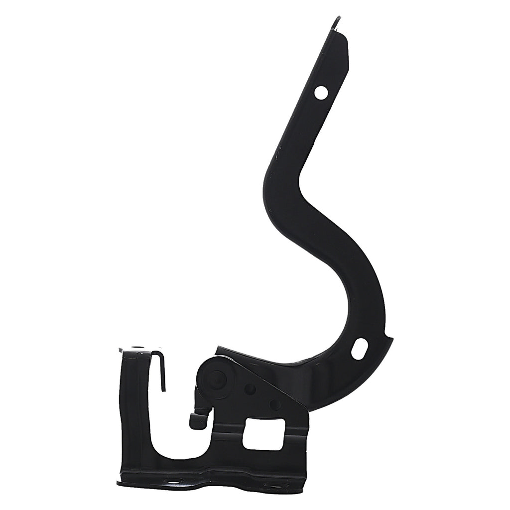 Bisagra de Cofre RADEC 006-3005-04