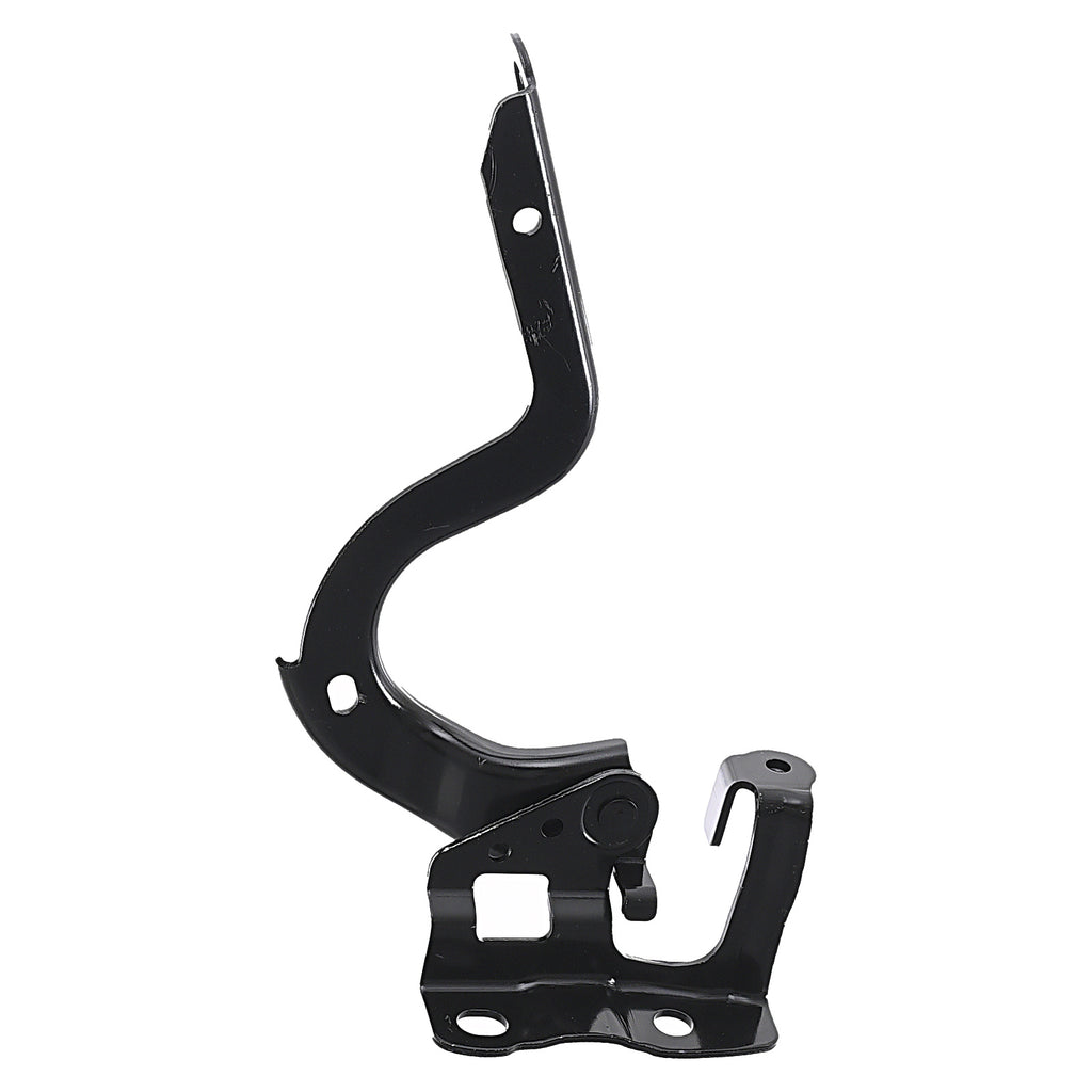 Bisagra de Cofre RADEC 006-3005-05