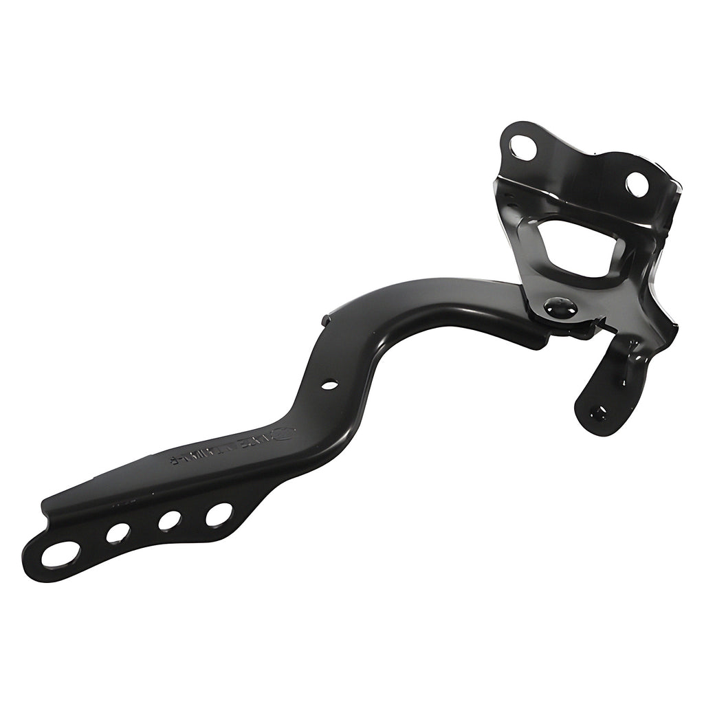 Bisagra de Cofre RADEC 006-3011-06