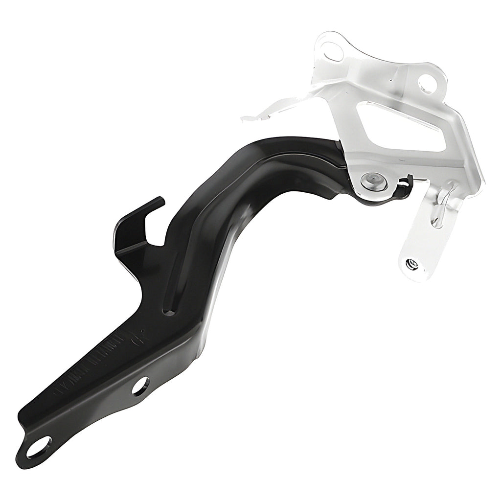 Bisagra de Cofre RADEC 006-3012-02