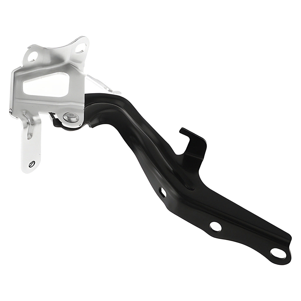 Bisagra de Cofre RADEC 006-3012-03