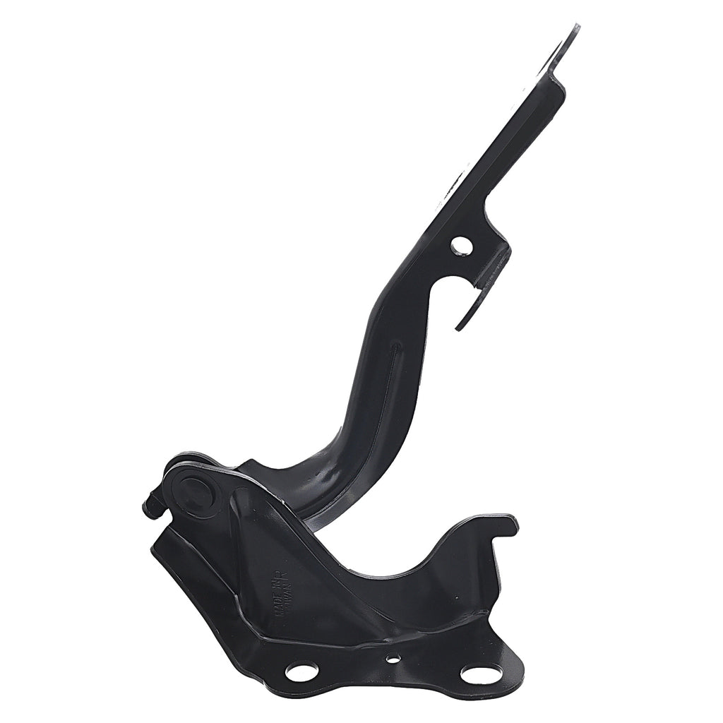 Bisagra de Cofre RADEC 006-3015-06