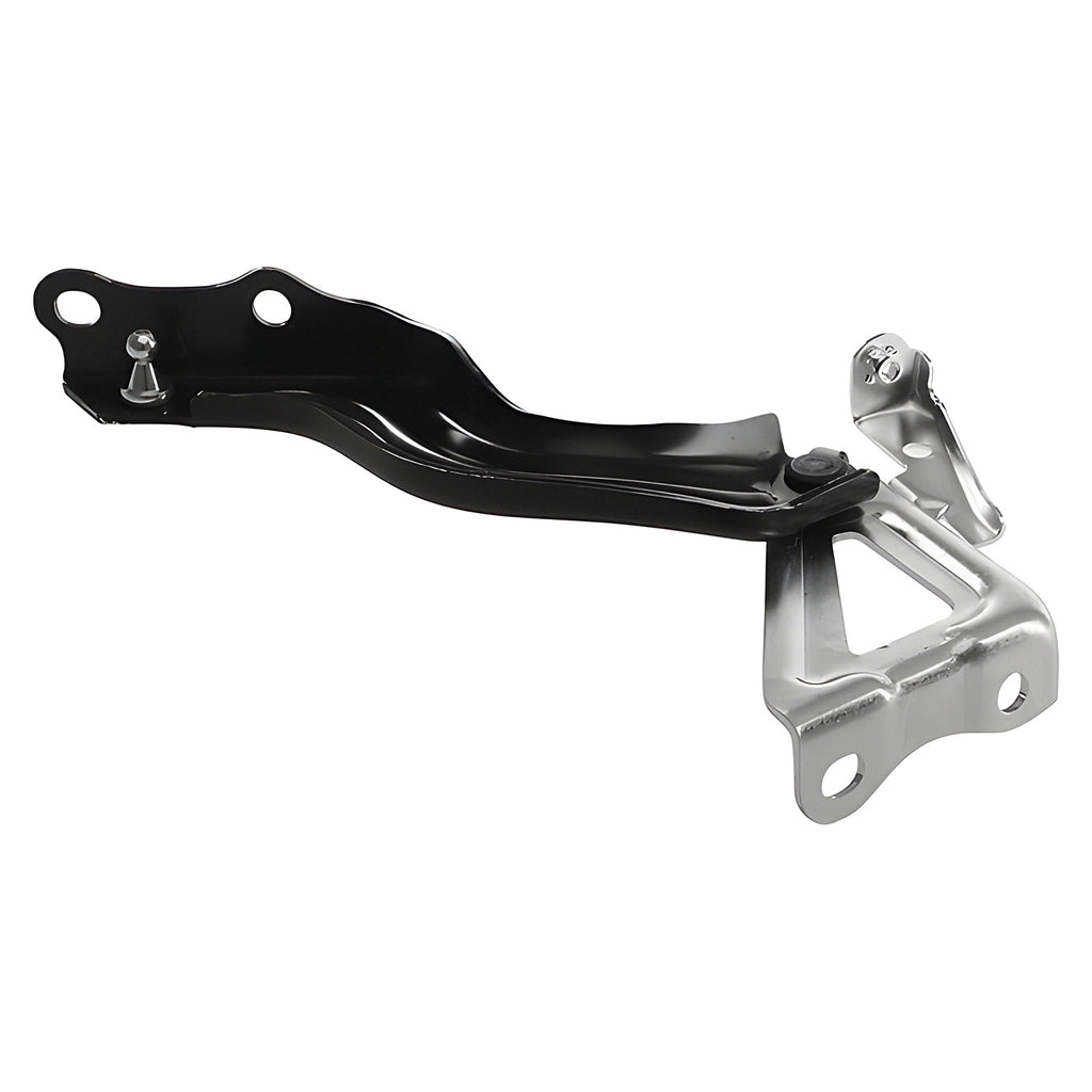 Bisagra de Cofre RADEC 006-3017-02