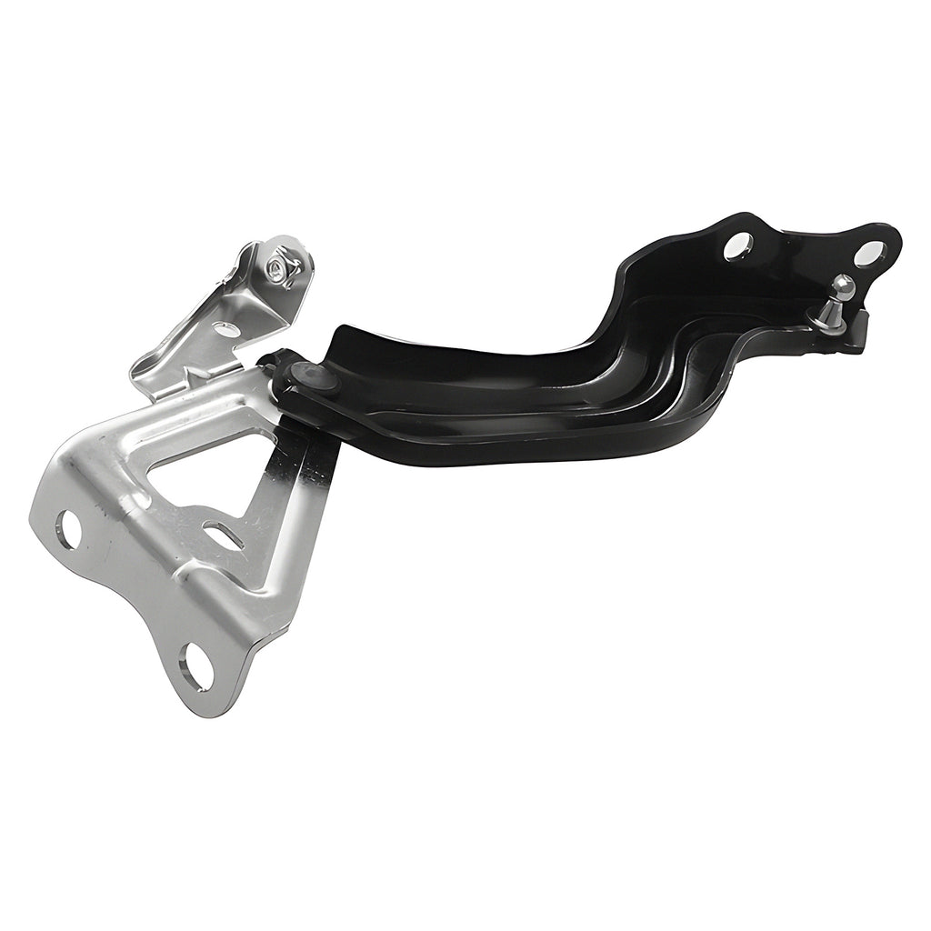 Bisagra de Cofre RADEC 006-3017-03