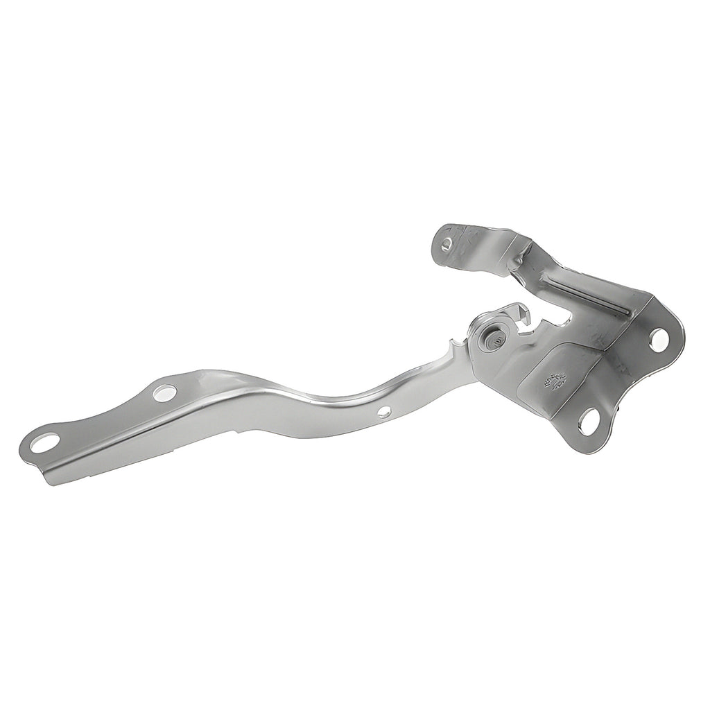 Bisagra de Cofre RADEC 006-3018-09