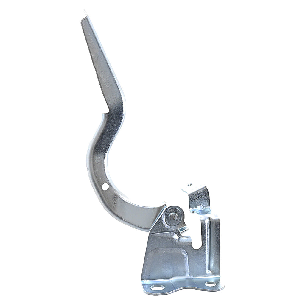 Bisagra de Cofre RADEC 006-3018-11