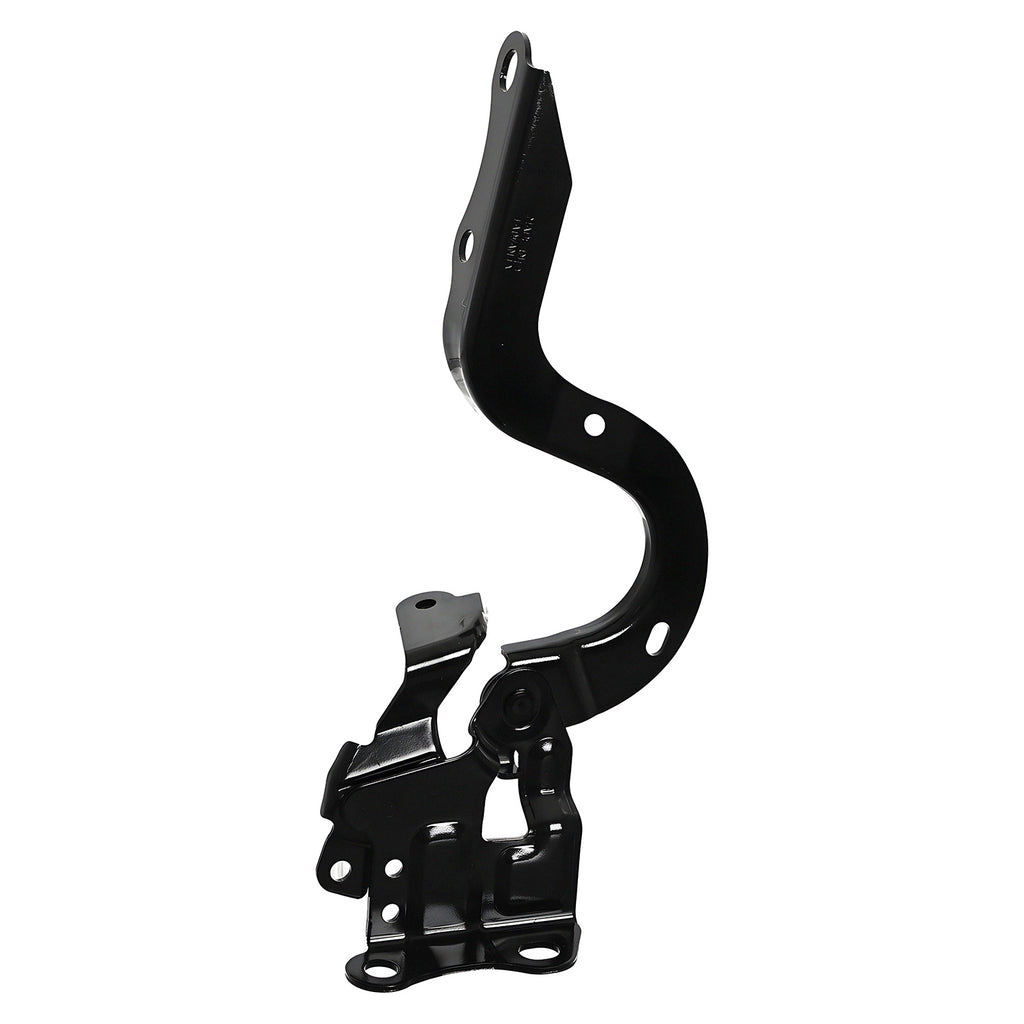 Bisagra de Cofre RADEC 006-3019-02