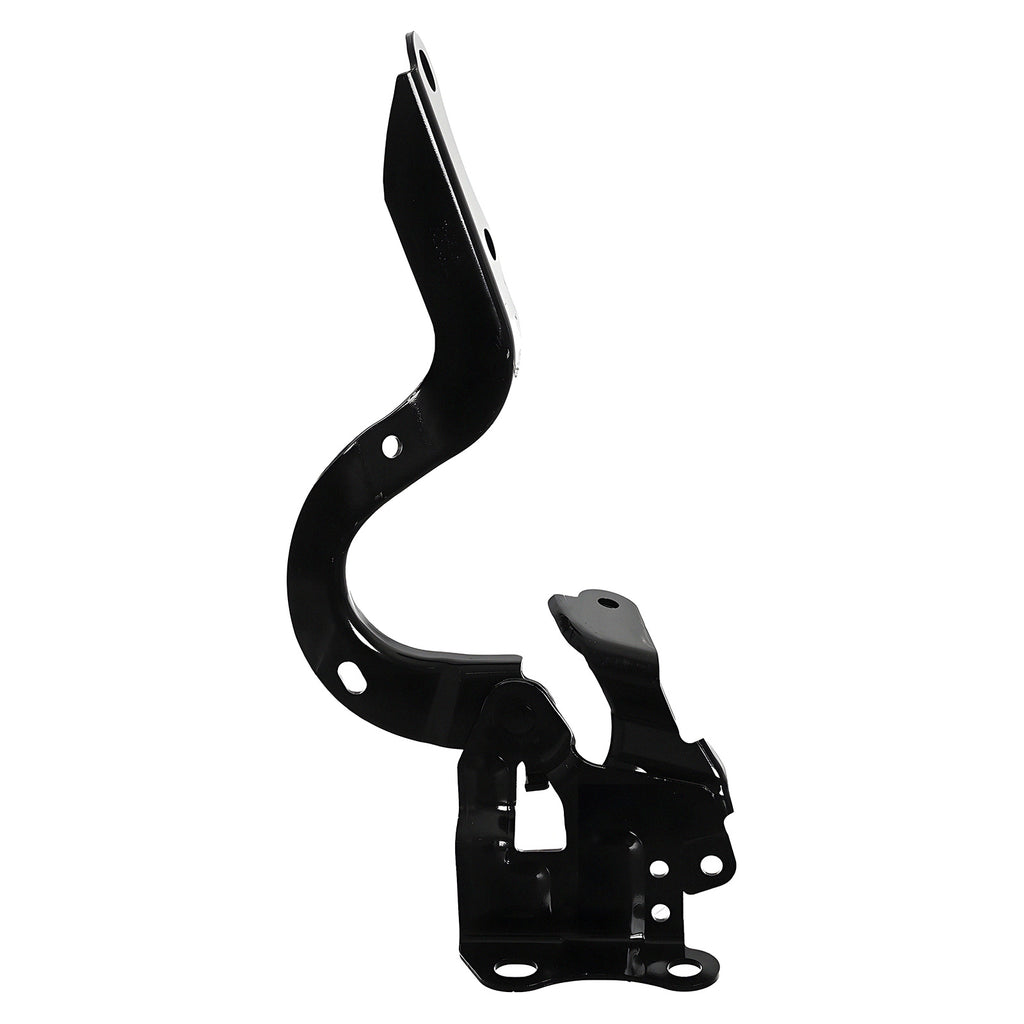 Bisagra de Cofre RADEC 006-3019-03