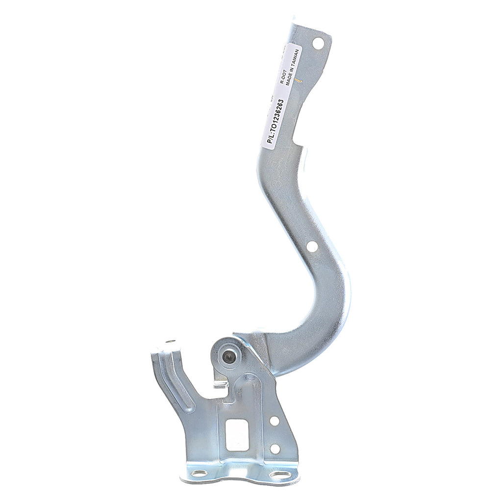 Bisagra de Cofre RADEC 006-3031-00