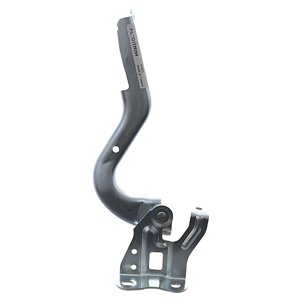 Bisagra de Cofre RADEC 006-3031-01