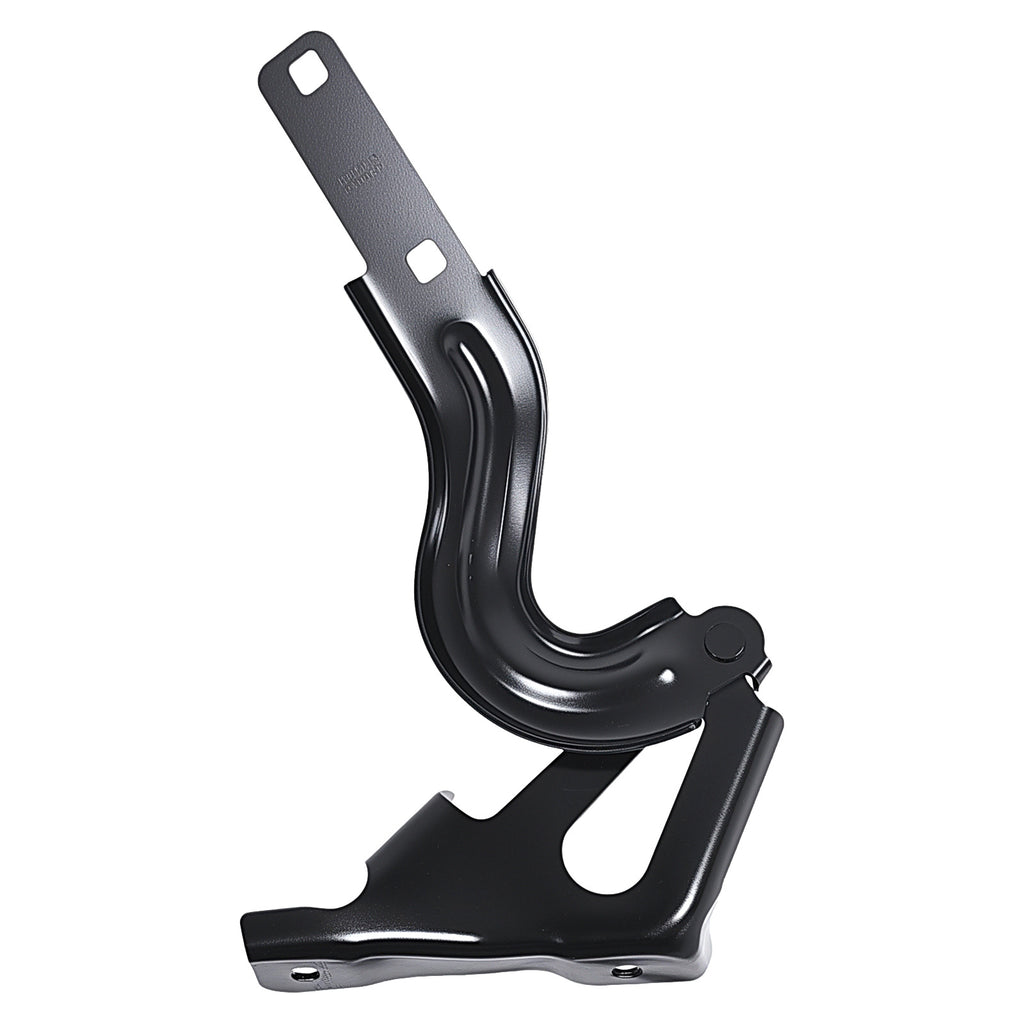 Bisagra de Cofre RADEC 006-3102-00