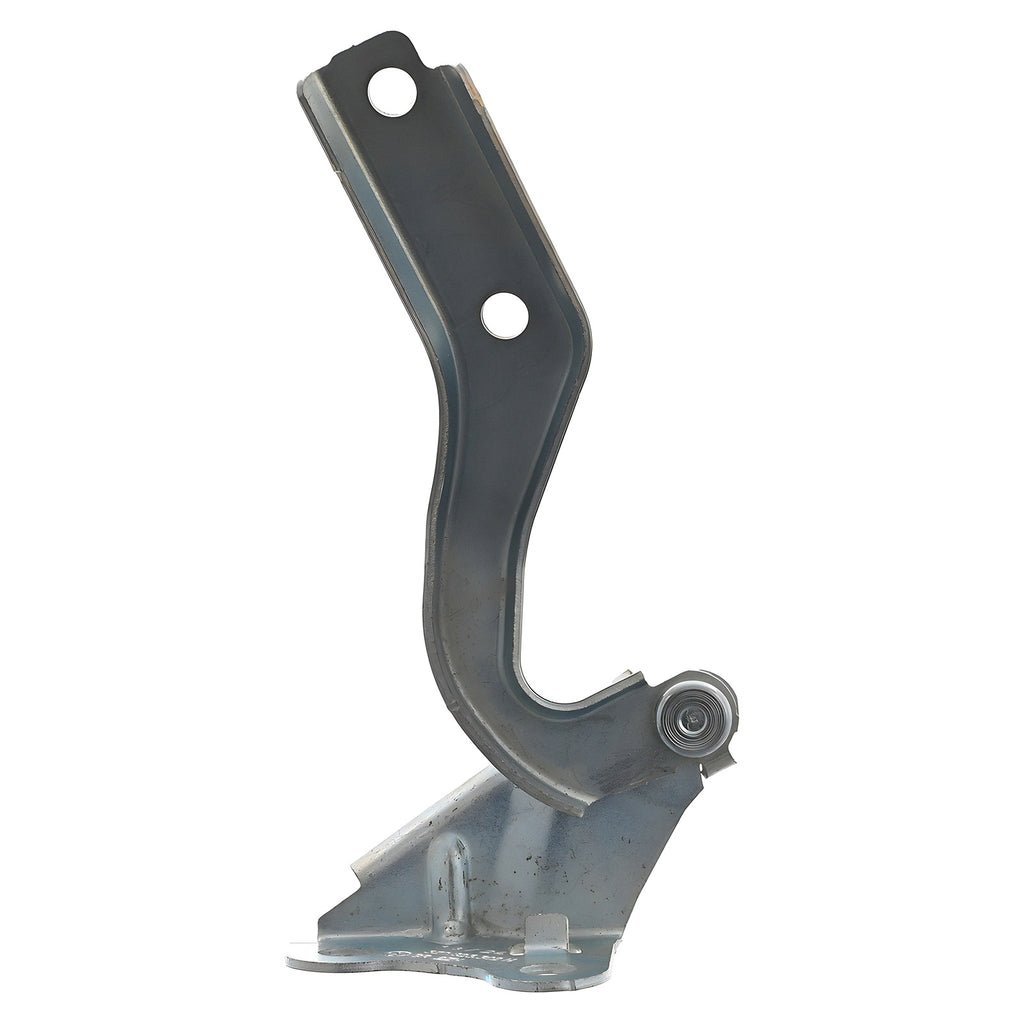 Bisagra de Cofre RADEC 006-3110-00
