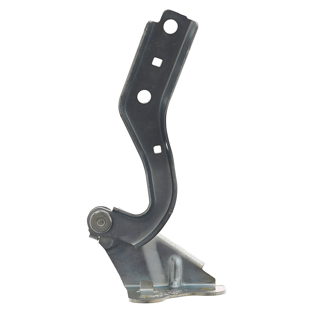 Bisagra de Cofre RADEC 006-3110-01