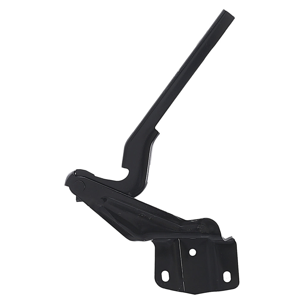Bisagra de Cofre RADEC 006-3112-04