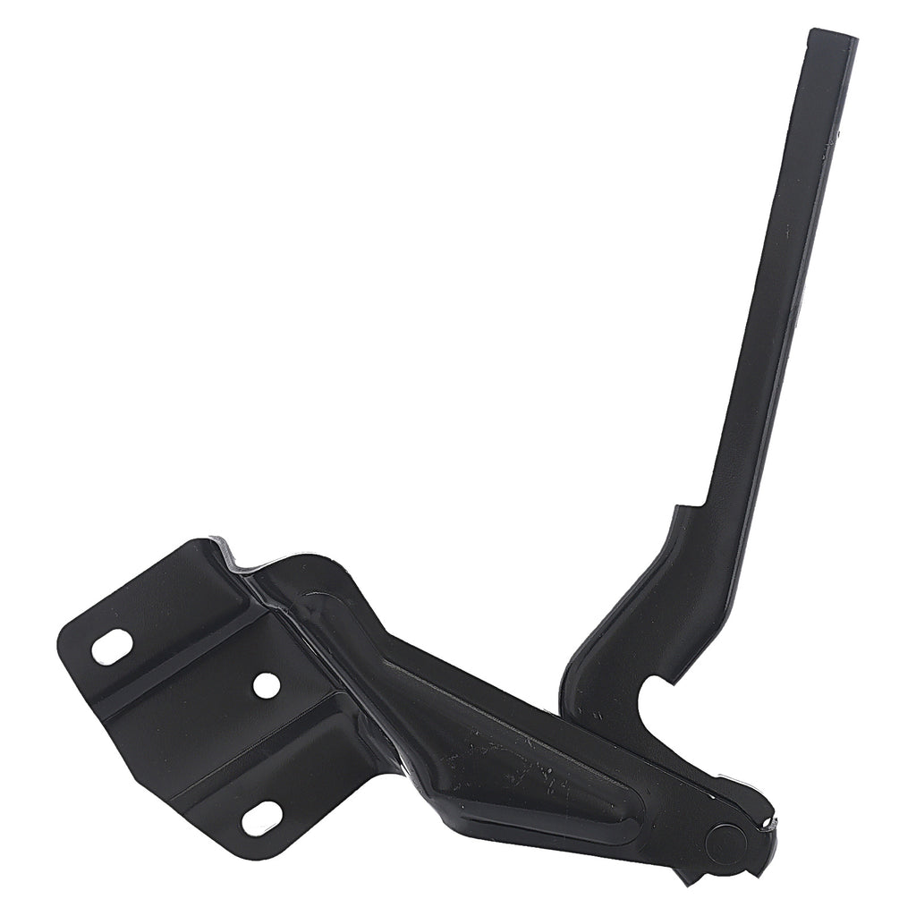 Bisagra de Cofre RADEC 006-3112-05