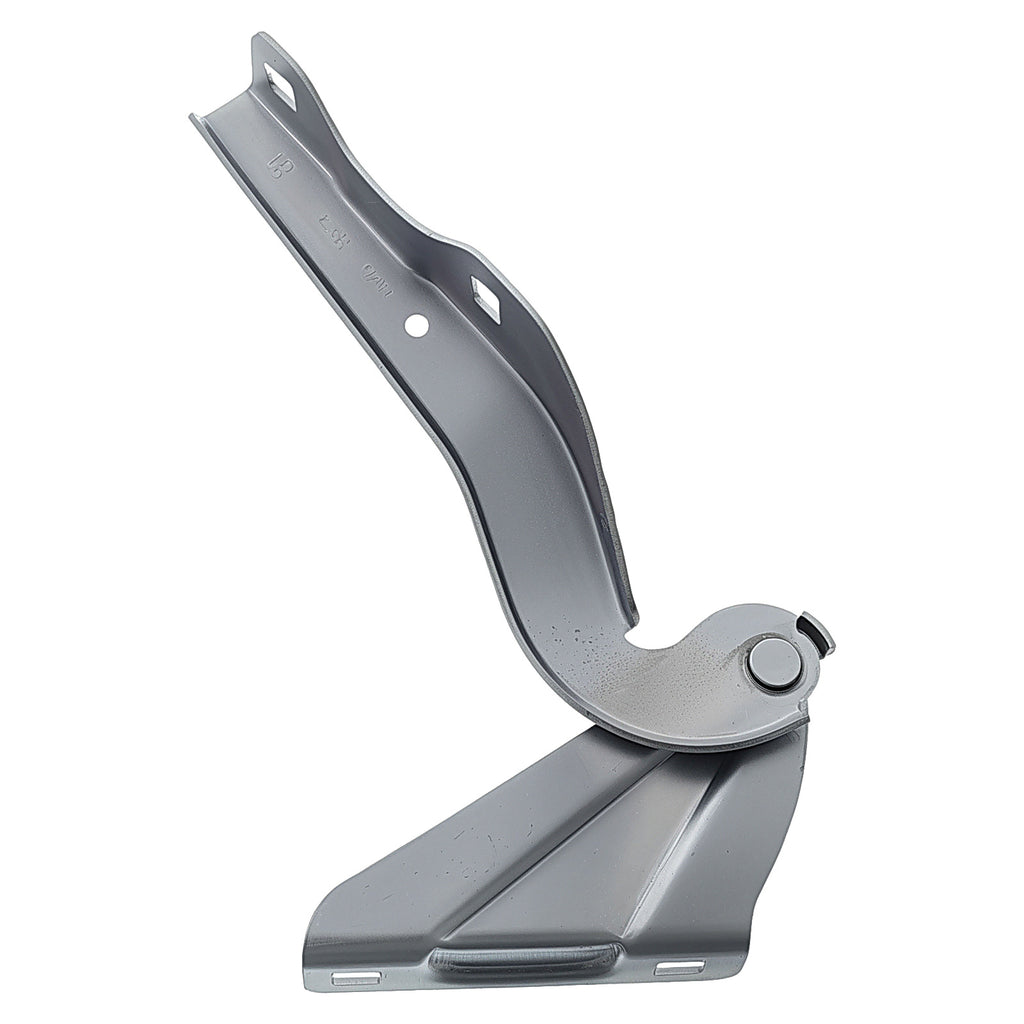 Bisagra de Cofre RADEC 006-3125-00