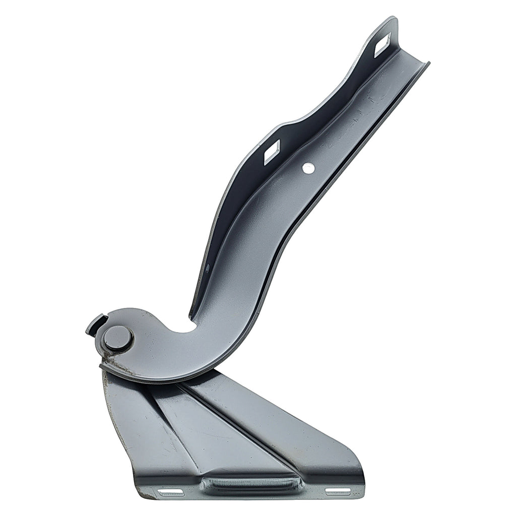 Bisagra de Cofre RADEC 006-3125-01