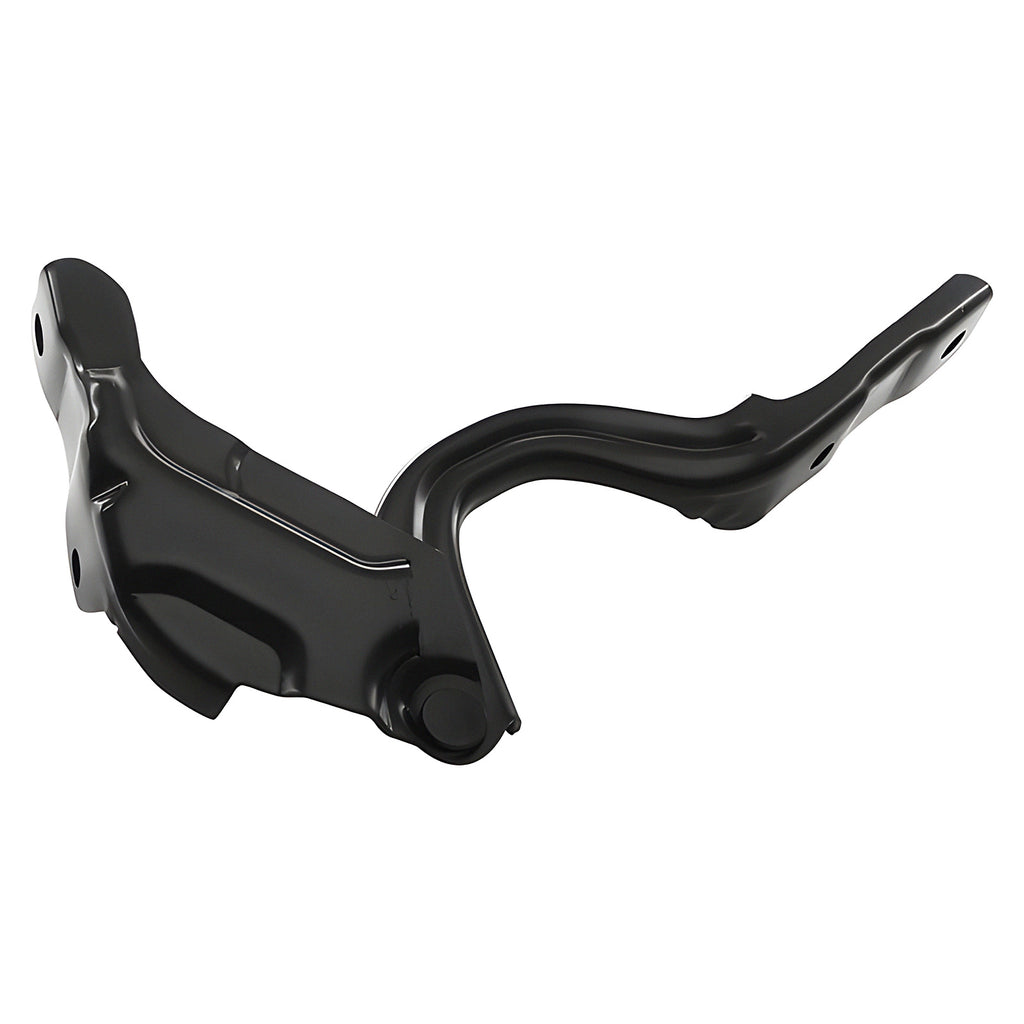 Bisagra de Cofre RADEC 006-3401-01
