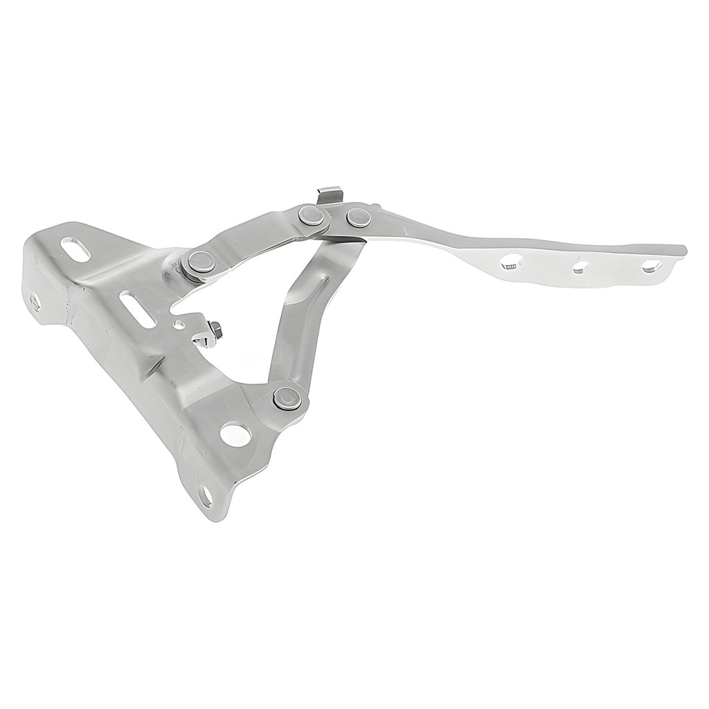 Bisagra de Cofre RADEC 006-3409-04
