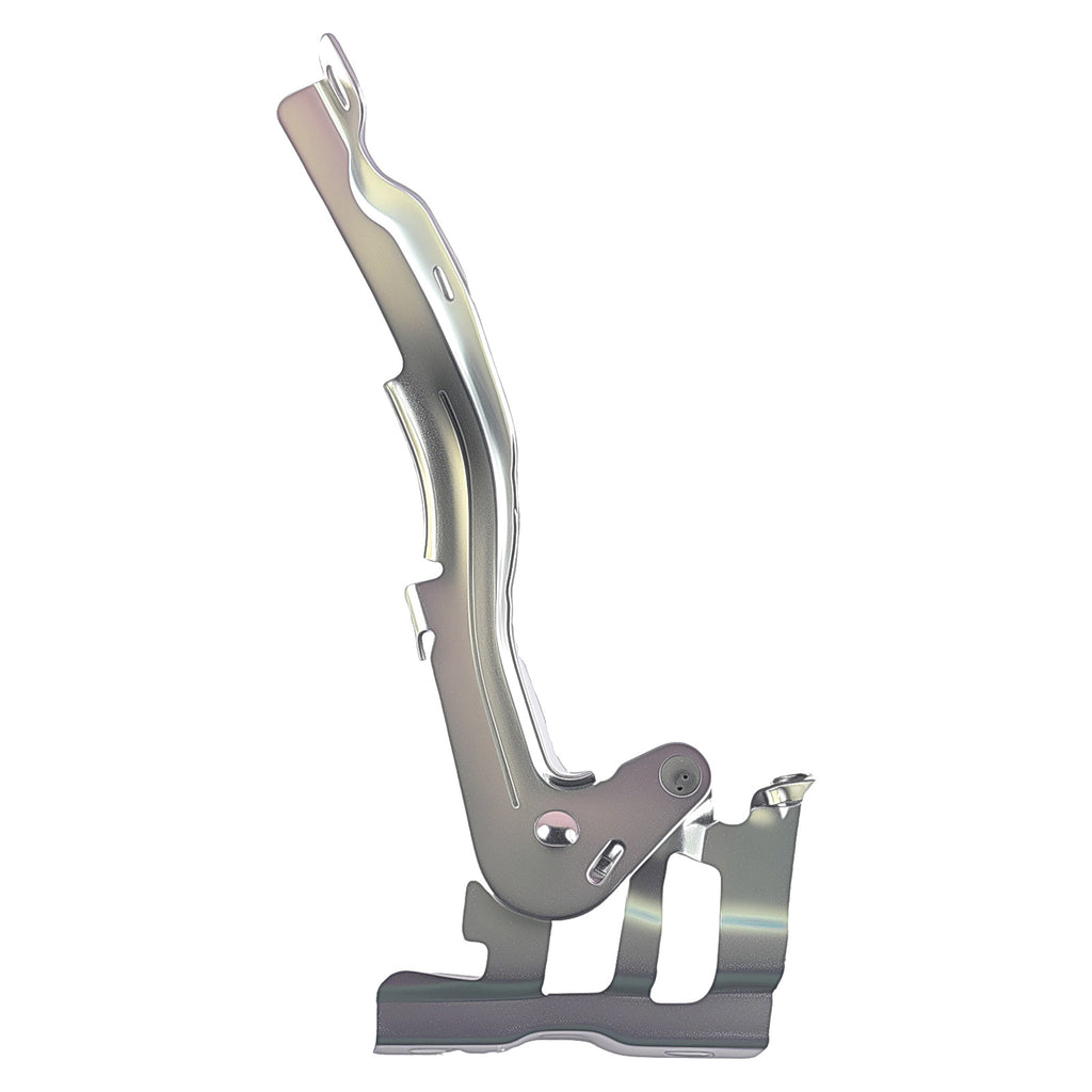 Bisagra de Cofre RADEC 006-3506-02