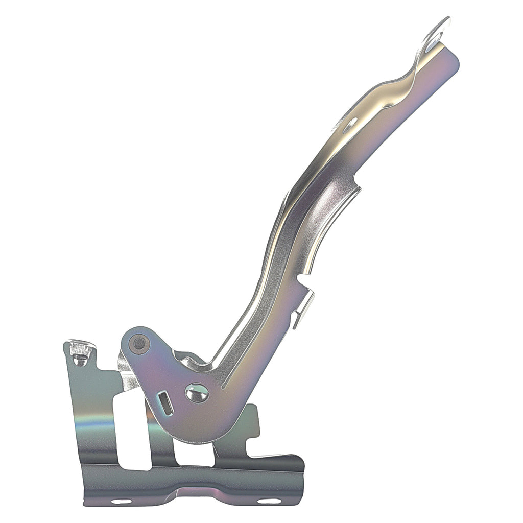 Bisagra de Cofre RADEC 006-3506-03