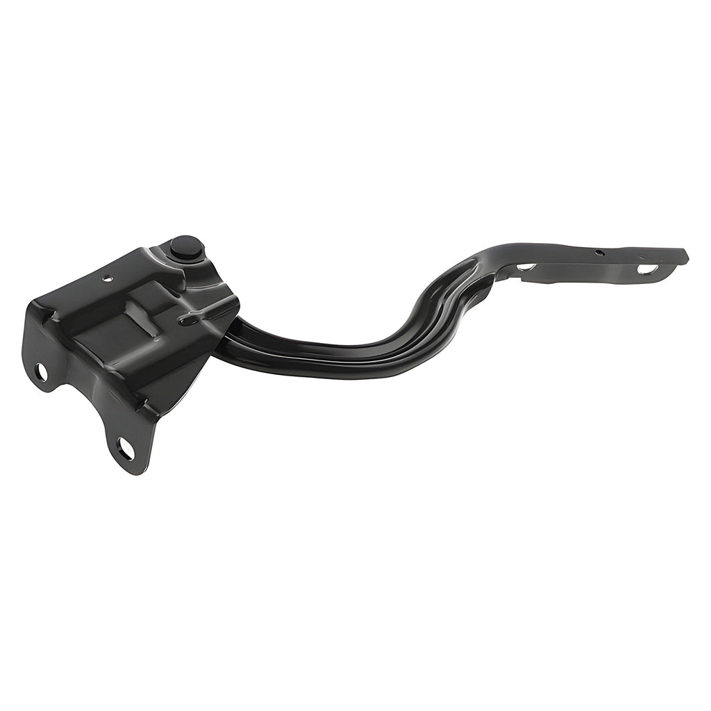 Bisagra de Cofre RADEC 006-3507-00