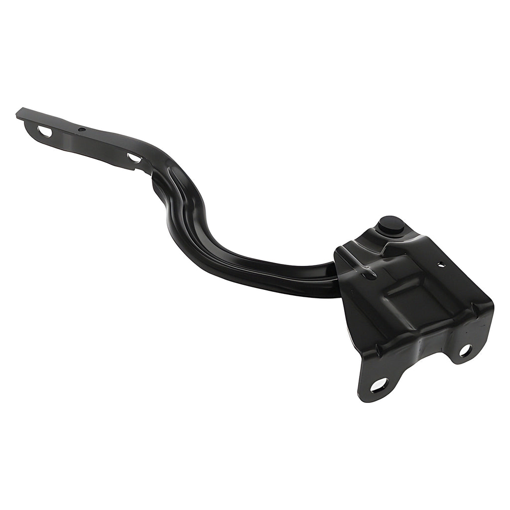 Bisagra de Cofre RADEC 006-3507-01