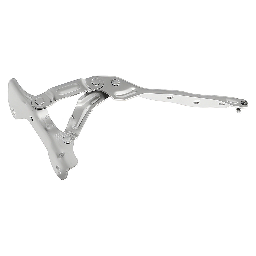 Bisagra de Cofre RADEC 006-3508-00
