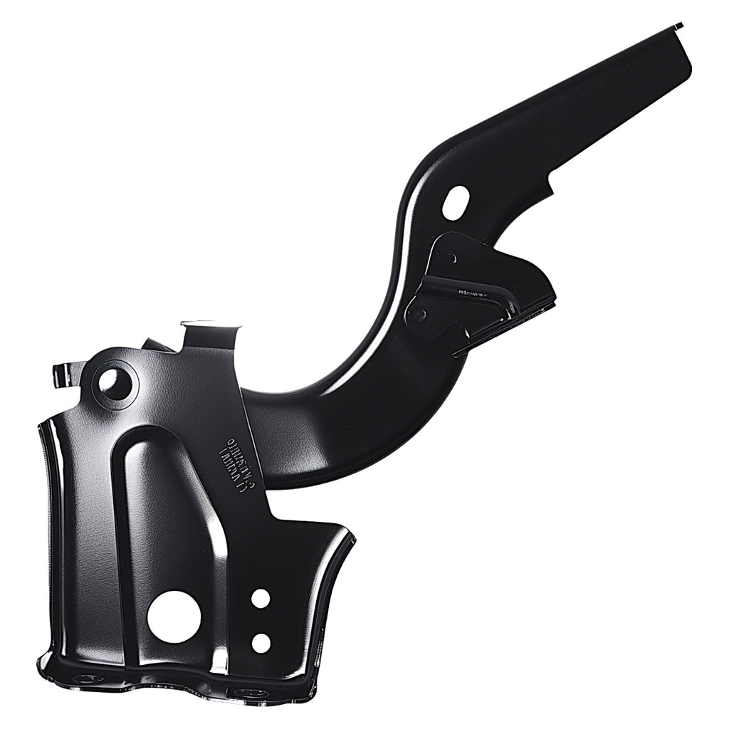Bisagra de Cofre RADEC 006-4901-00