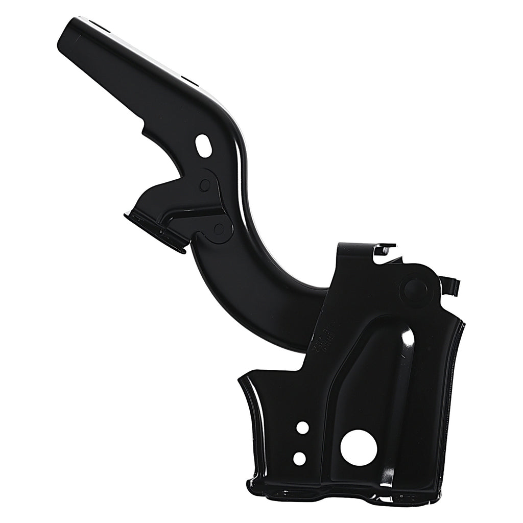 Bisagra de Cofre RADEC 006-4901-01