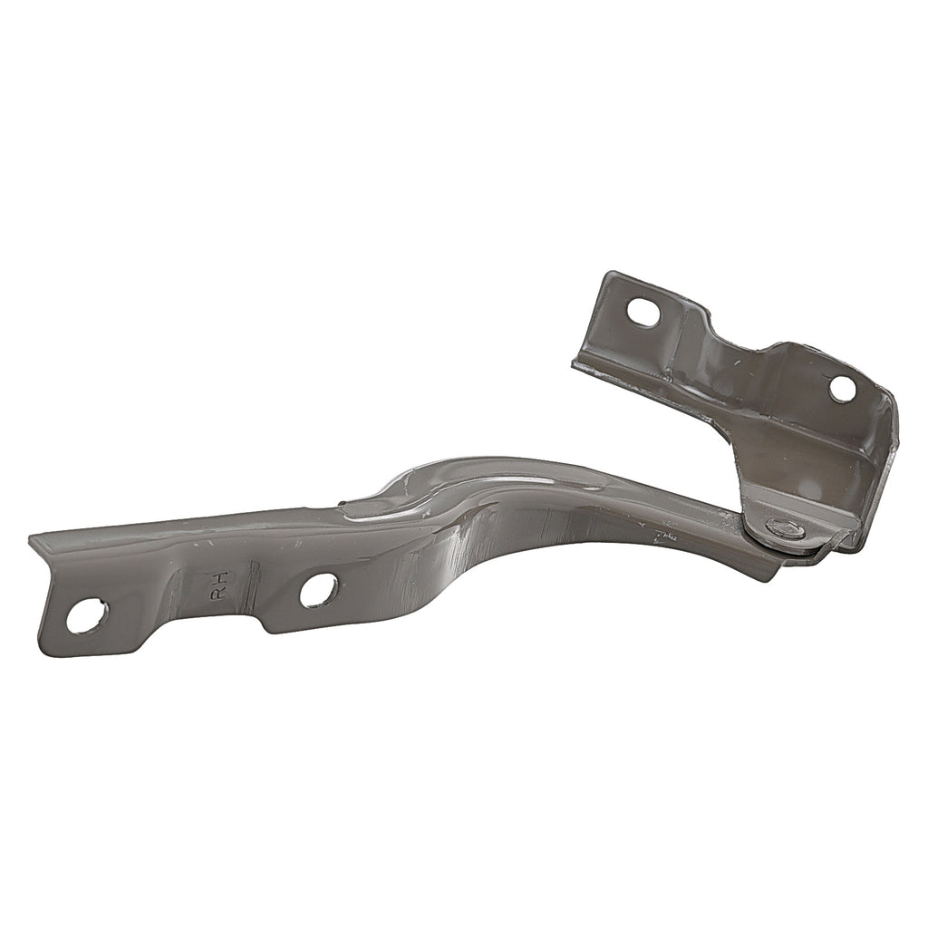 Bisagra de Cofre RADEC 006-5500-00