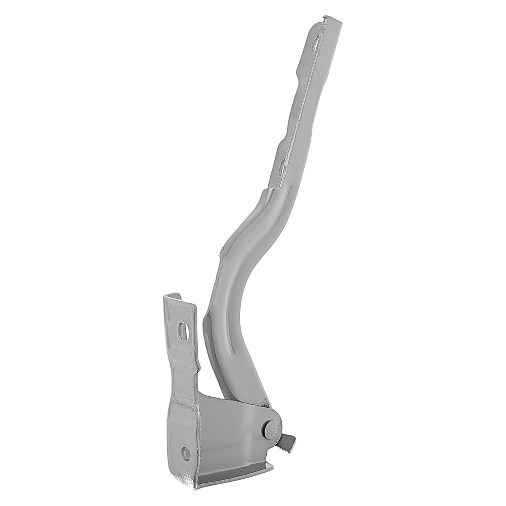Bisagra de Cofre RADEC 006-5500-01